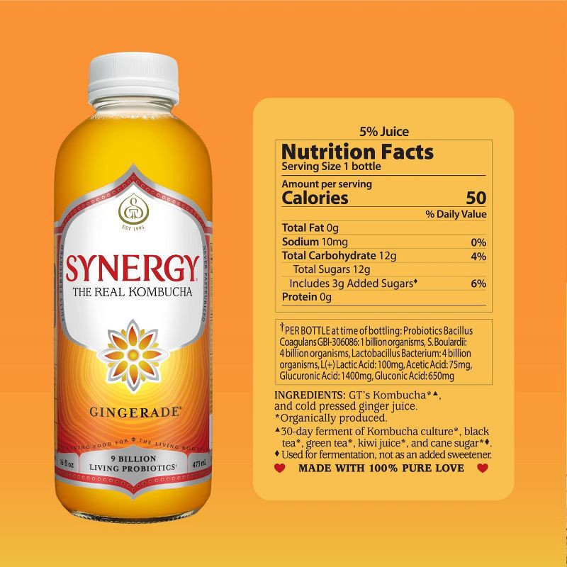 slide 4 of 14, GT's Synergy The Real Kombucha, Gingerade – 16 fl oz, 16 fl oz