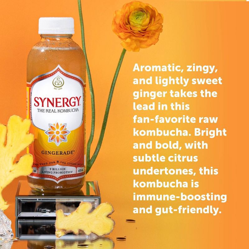 slide 5 of 14, GT's Synergy The Real Kombucha, Gingerade – 16 fl oz, 16 fl oz