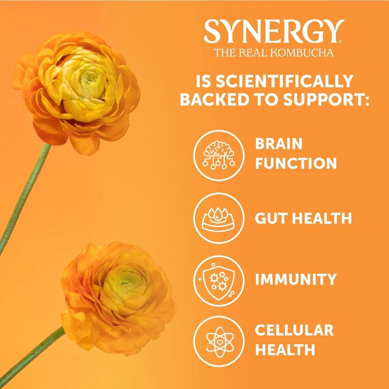 slide 6 of 14, GT's Synergy The Real Kombucha, Gingerade – 16 fl oz, 16 fl oz