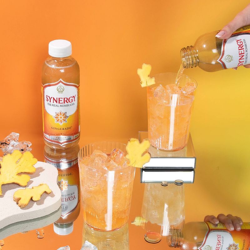 slide 7 of 14, GT's Synergy The Real Kombucha, Gingerade – 16 fl oz, 16 fl oz