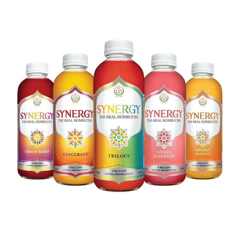 slide 8 of 14, GT's Synergy The Real Kombucha, Gingerade – 16 fl oz, 16 fl oz