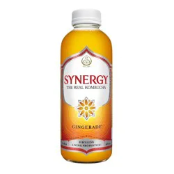 GT's Synergy The Real Kombucha, Gingerade – 16 fl oz