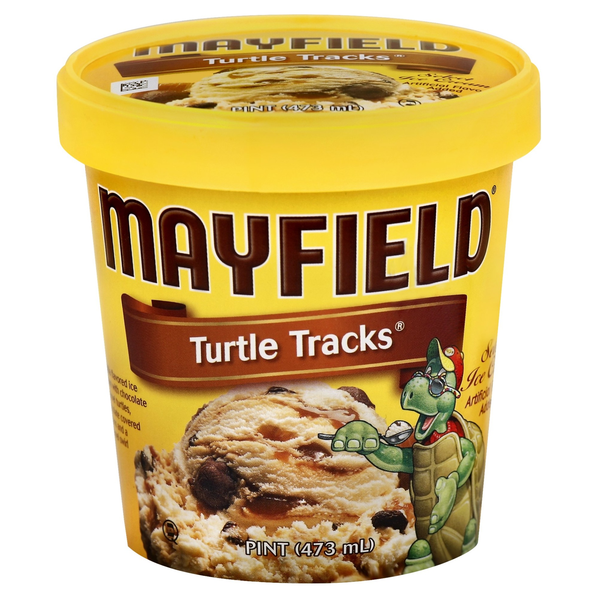 slide 1 of 1, Mayfield Ice Cream Select Turtle Tracks, 16 fl oz