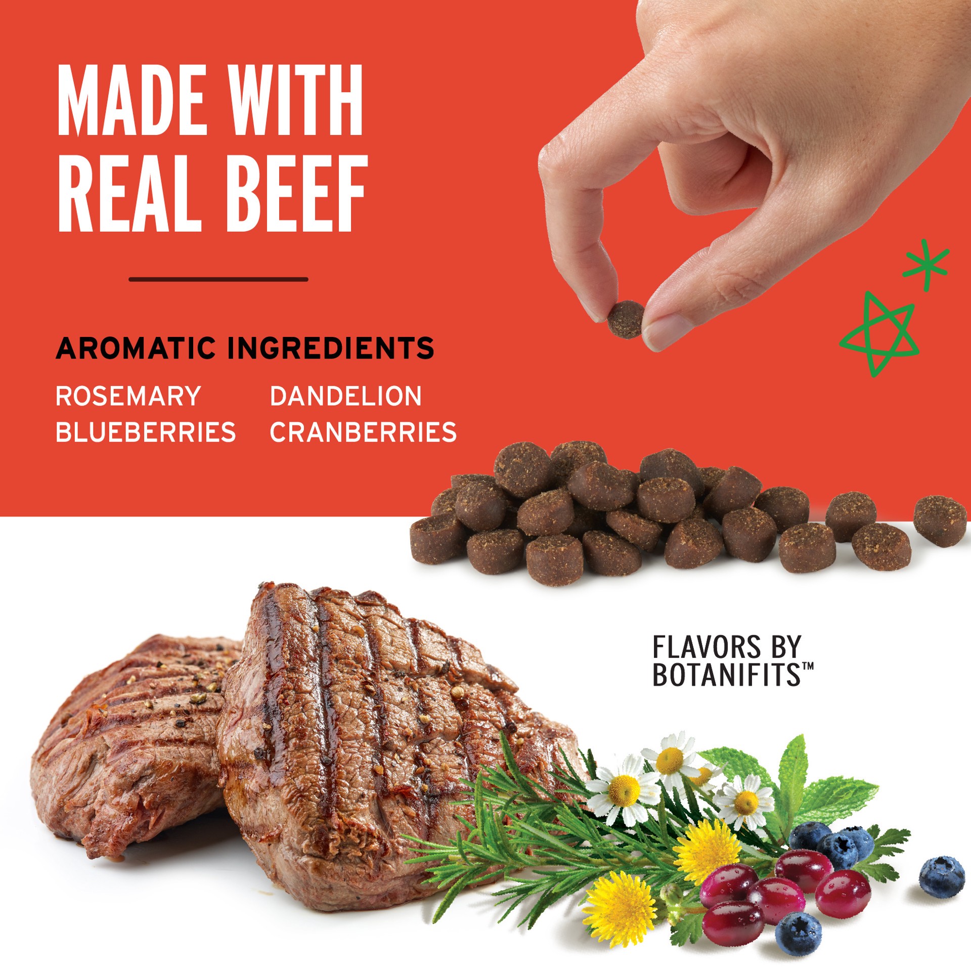 slide 5 of 6, Pet Botanics Training Rewards Mini Soft & Chewy Dog Treats, Beef, 10 oz. Bag, 10 oz