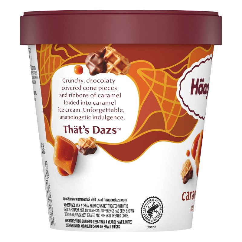 slide 9 of 15, Haagen-Dazs Caramel Cone Ice Cream - 14oz, 14 oz
