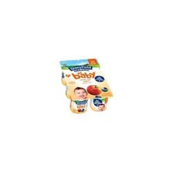 Stonyfield Organic YoBaby Apple & Blueberry Whole Milk Baby Probiotic Yogurt - 24oz/6ct