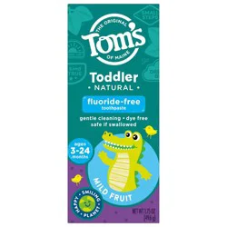 Tom's of Maine Fluoride Free Toddler Training Toothpaste - Mild Fruit - 1.75oz: Gel with Hydrated Silica, 1 Count