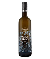 Candoni Conadoni Pinot Grigio