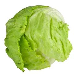 Earthbound Farm Fresh Iceberg Lettuce Organic