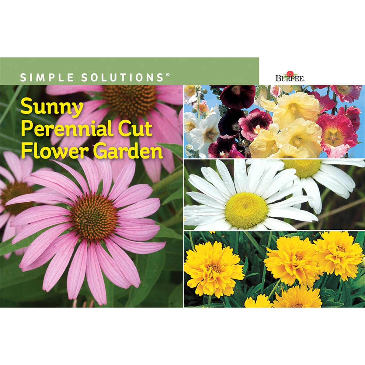 slide 1 of 1, Burpee Sunny Perennial Cut Flower Garden Seeds, 1 ct