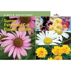 Burpee Sunny Perennial Cut Flower Garden Seeds