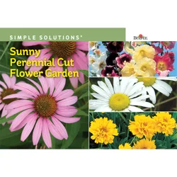 Burpee Sunny Perennial Cut Flower Garden Seeds