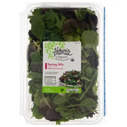Nature's Promise Organic Spring Mix Lettuce Blend