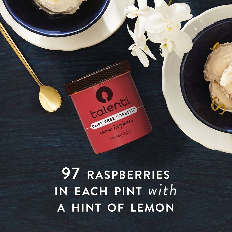 slide 8 of 8, Talenti Dairy-Free Frozen Roman Raspberry Sorbetto - 16oz, 16 oz