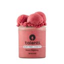 Talenti Dairy-Free Frozen Roman Raspberry Sorbetto - 16 fl oz