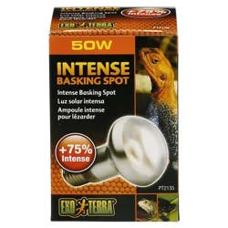 Exo Terra Intense Basking Spot Lamp, 50 Watts