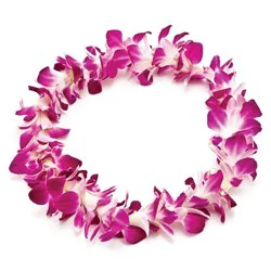 Orchid Lei