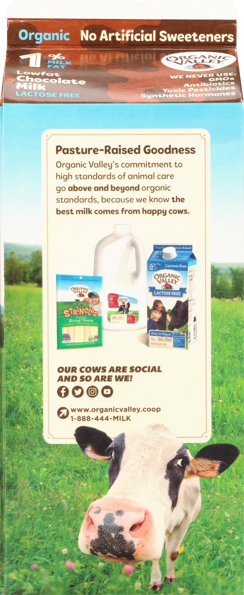 slide 2 of 13, Organic Valley Low Fat Chocolate Milk 0.5 gal, 1/2 gal