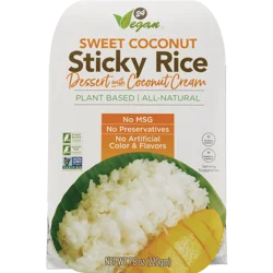 24 Vegan Sticky Rice Coconut