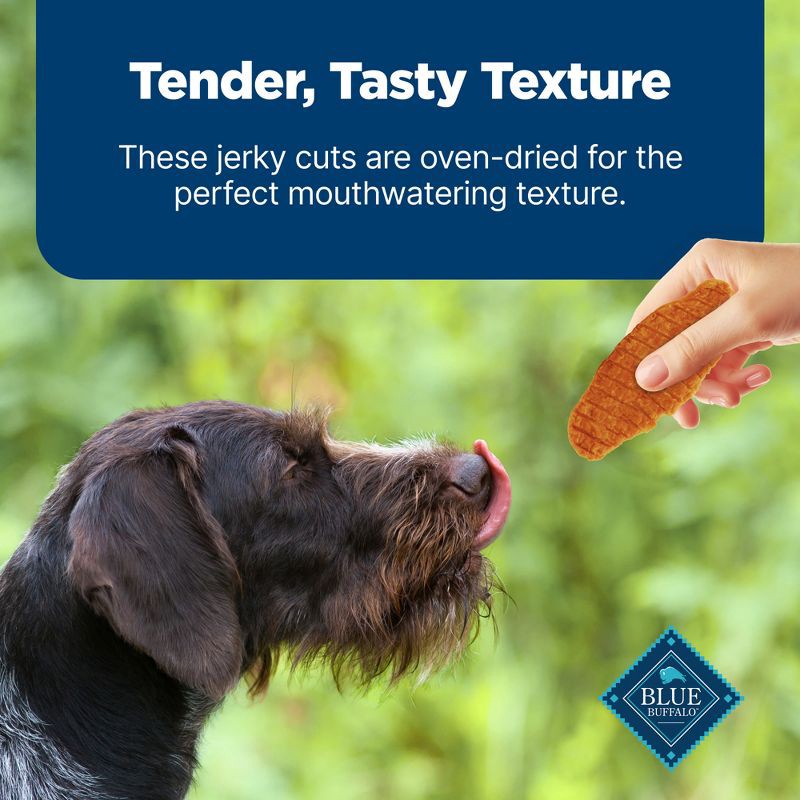 slide 6 of 10, Blue Buffalo Nudges with Duck and Chicken Jerky Cuts Natural Dog Treats - 16oz, 16 oz
