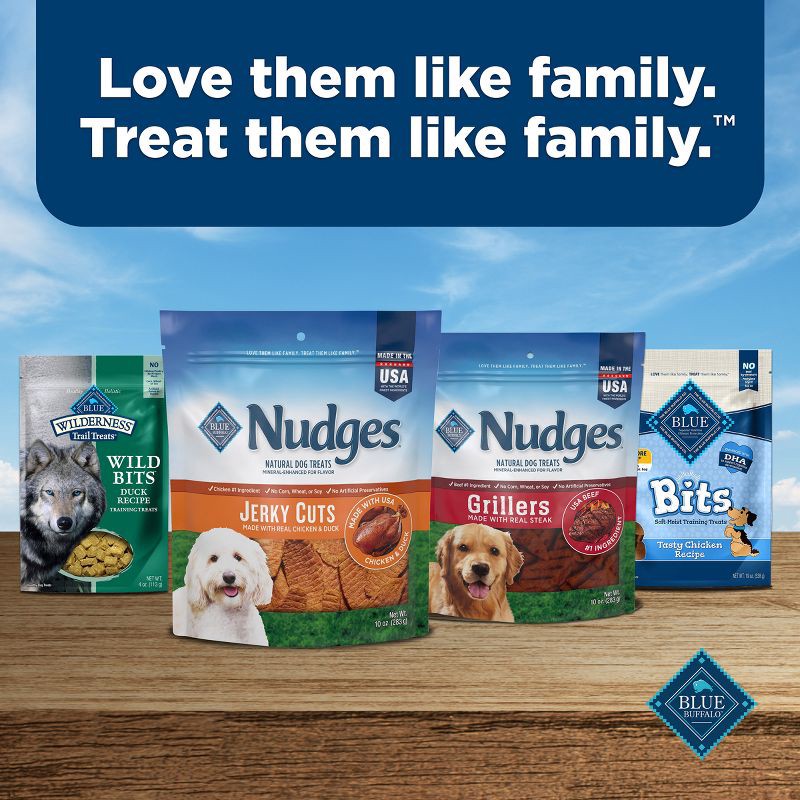 slide 9 of 10, Blue Buffalo Nudges with Duck and Chicken Jerky Cuts Natural Dog Treats - 16oz, 16 oz