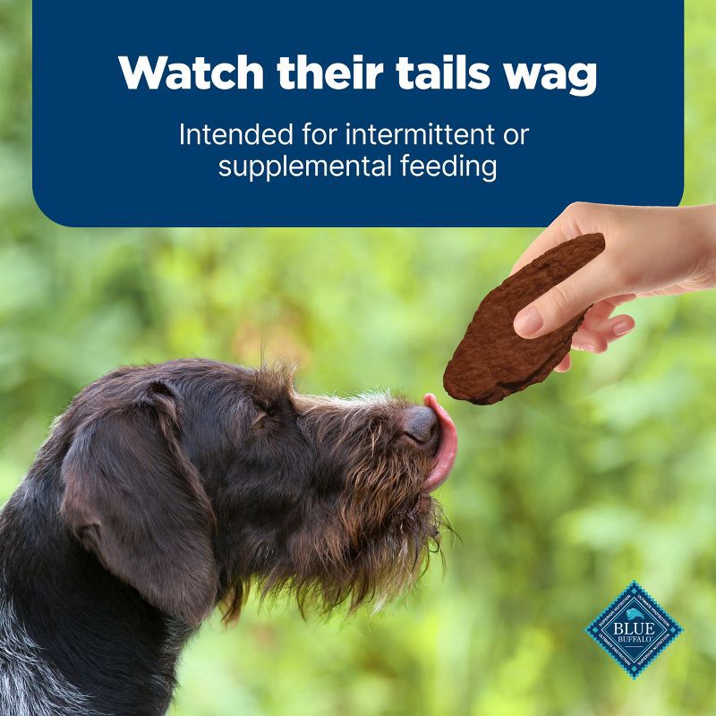 slide 8 of 10, Blue Buffalo Nudges Jerky Cuts Natural Dog Treats with Beef - 16oz, 16 oz
