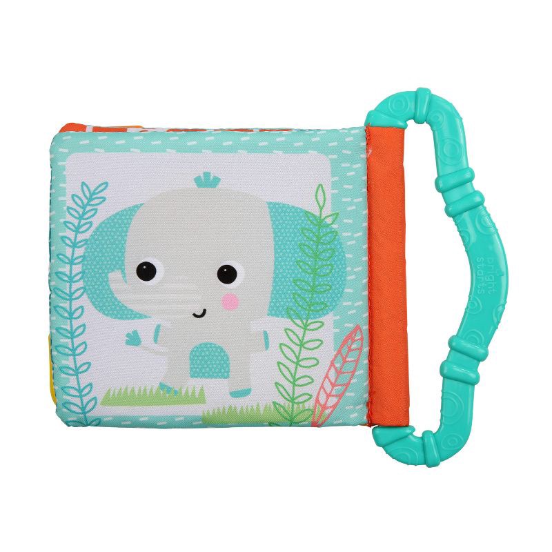 slide 7 of 7, Bright Starts Teethe & Read Play Book, 1 ct