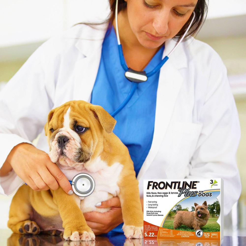 slide 4 of 4, Frontline Plus Flea and Tick Treatment for Dogs - S - 3 Doses, 0.069 fl oz