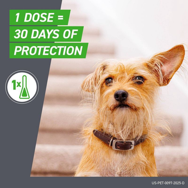 slide 6 of 11, Frontline Plus Flea and Tick Treatment for Dogs - M - 3 doses, 1 ct