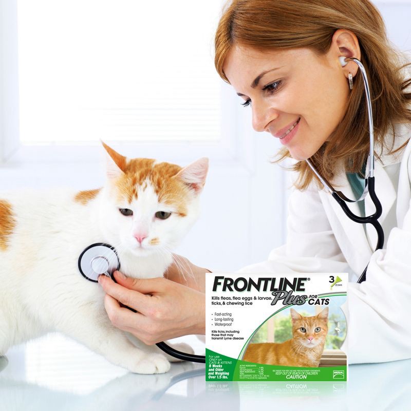 slide 5 of 8, Frontline Plus Flea and Tick Treatment for Cats and Kittens - 8 weeks and older - 3 Doses, 1 ct