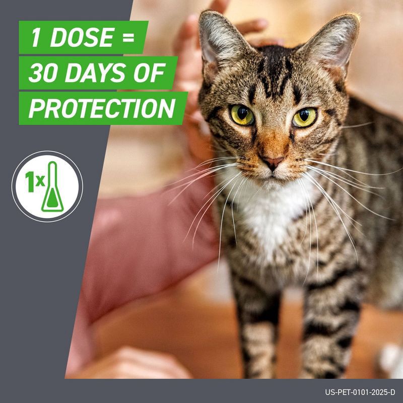 slide 6 of 8, Frontline Plus Flea and Tick Treatment for Cats and Kittens - 8 weeks and older - 3 Doses, 1 ct