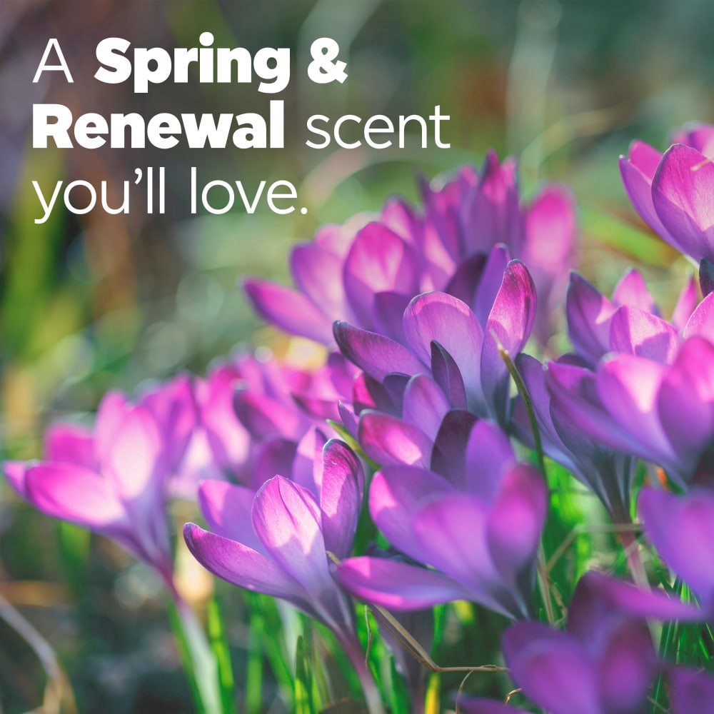 slide 6 of 6, Tide® Ultra with Febreze™ Spring Renewal™ Scent Liquid Laundry Detergent, 65 loads