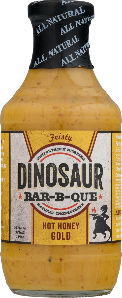 slide 10 of 12, Dinosaur Bar-B-Que Dinosaur Hot Honey Gol, 16 fl oz