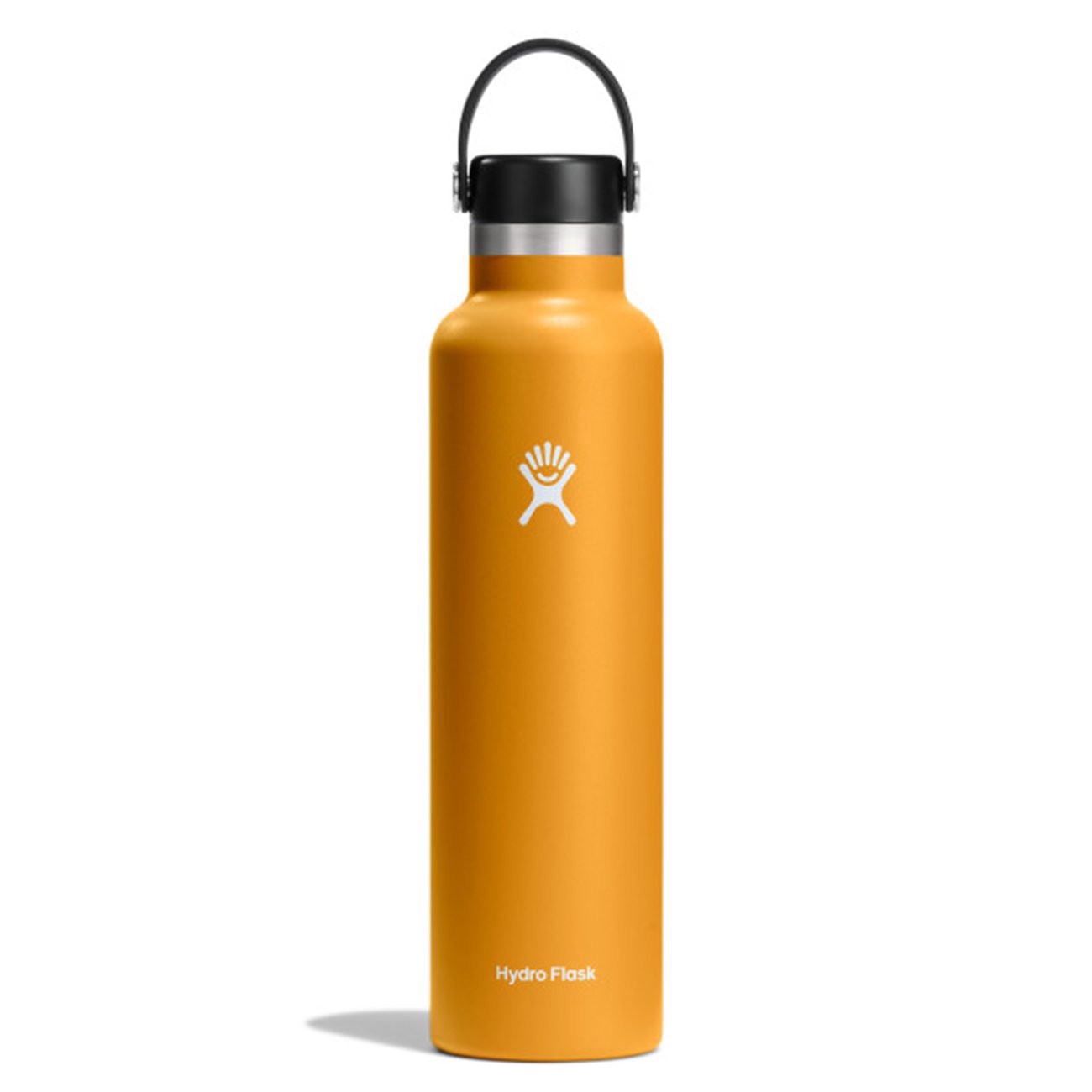 slide 1 of 1, Hydro Flask Standard Flex Cap Fossil, 24 oz
