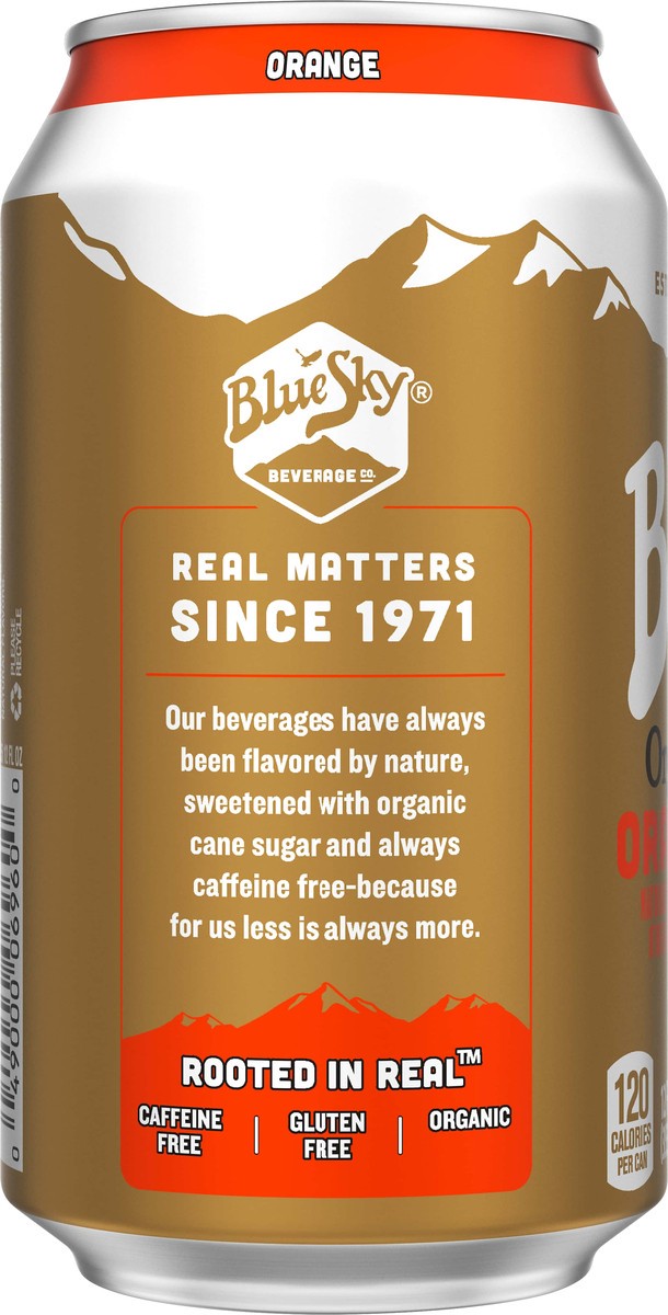 slide 4 of 8, Blue Sky Organic Orange Soda - 12 oz, 1 ct