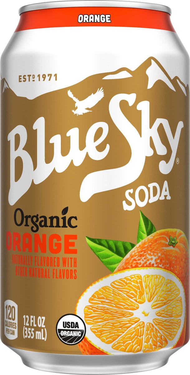 slide 1 of 8, Blue Sky Organic Orange Soda - 12 oz, 1 ct