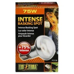Exo-Terra Intense Basking Spot Lamp - 75 Watt