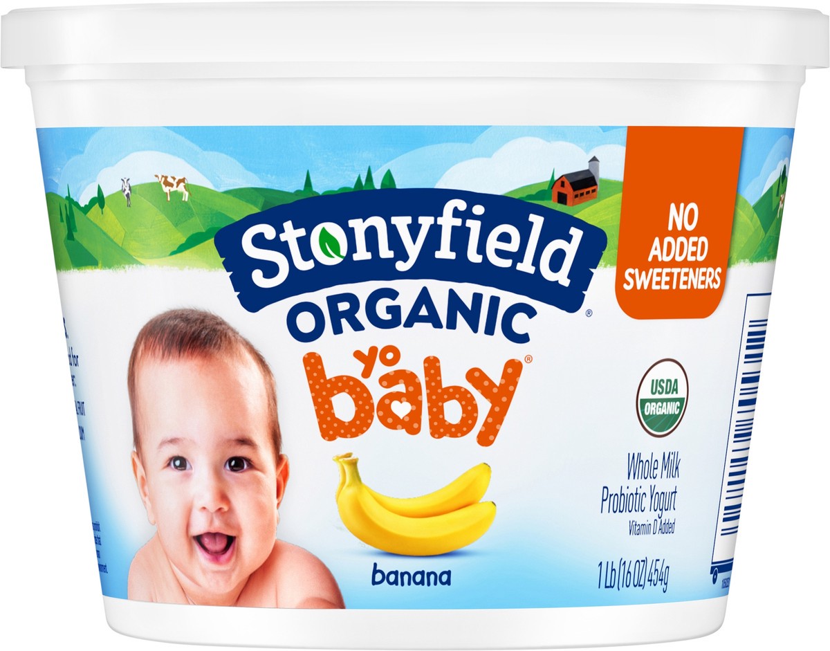 slide 7 of 8, Stonyfield Organic YoBaby Whole Milk Baby Yogurt, Banana, 16oz, 16 oz