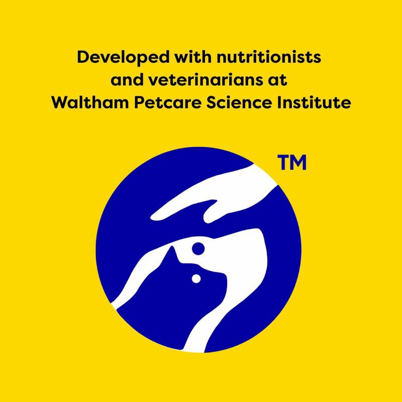 slide 8 of 11, Temptations Indoor Care Crunchy Cat Treats with Chicken - 4.9oz, 4.9 oz