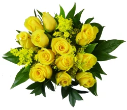 BLOOM HAUS Bloom Haus 12 Plus Rose Bouquet - Yellow