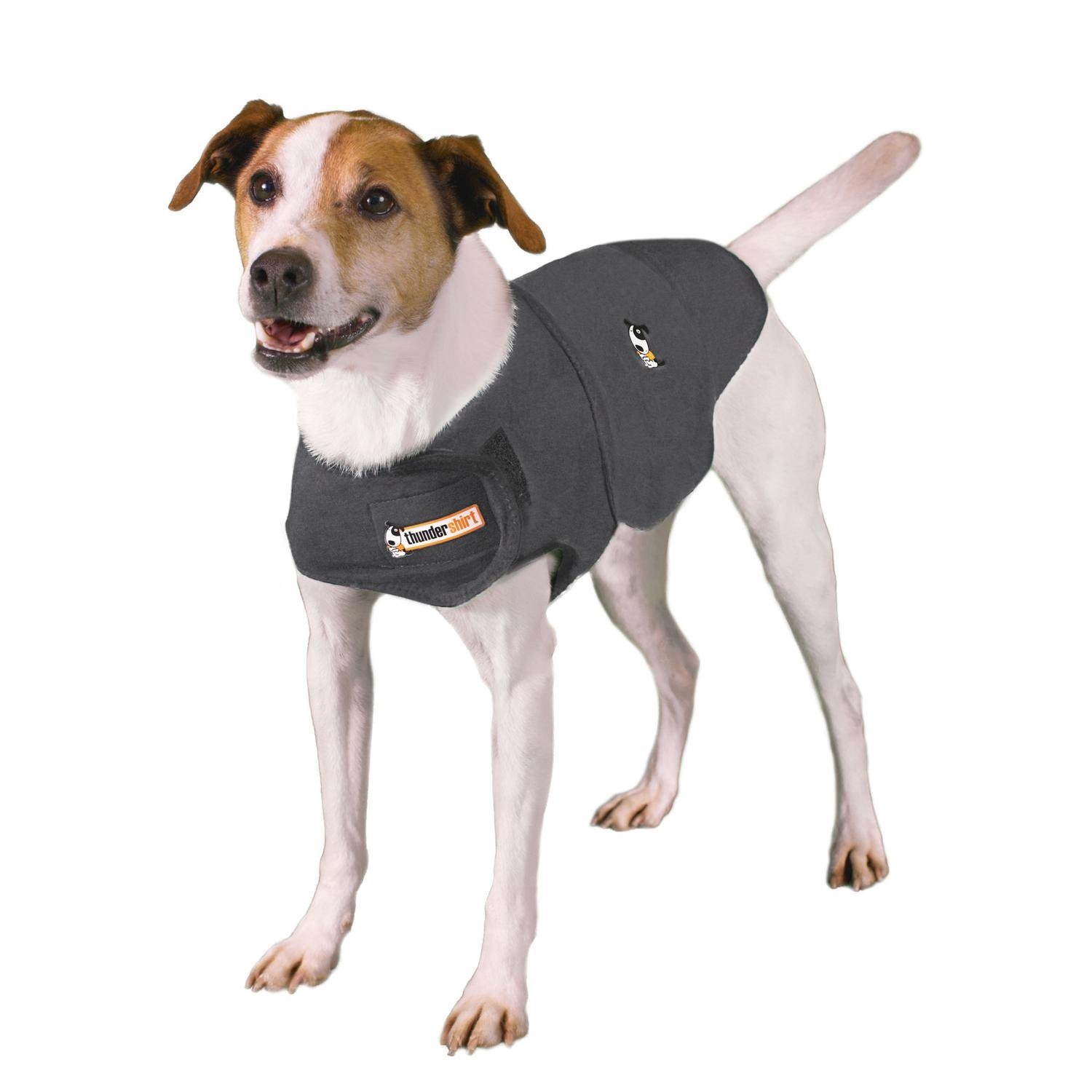 slide 1 of 1, ThunderShirt Dog Anxiety Treatment - Gray, S