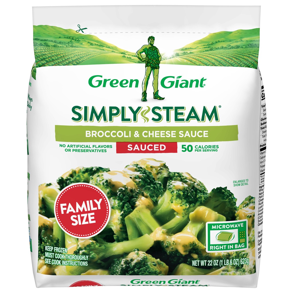 slide 1 of 9, Green Giant Simply Steam Sauced Broccoli & Cheese Sauce Family Size 22 oz, 22 oz