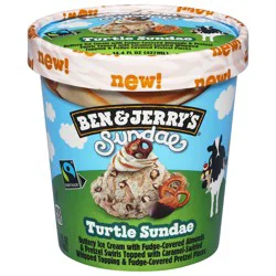 Ben & Jerry's Turtle Sundae Ice Cream 14.4 fl oz