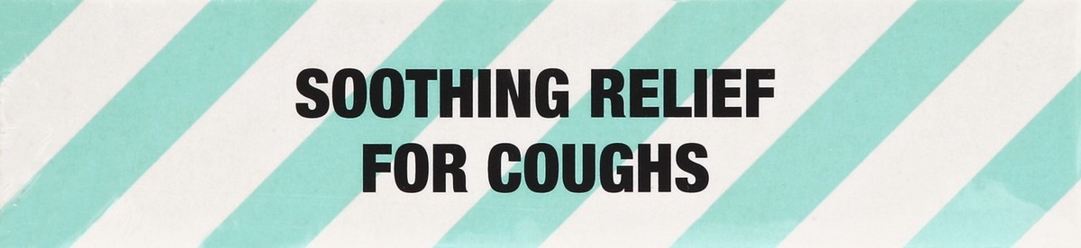 slide 4 of 5, Fisherman's Friend Menthol Cough Suppressant Lozenges 38 ea, 38 ct