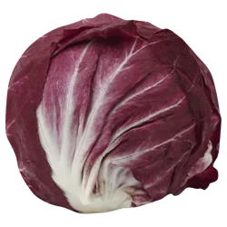 Treviso Lettuce