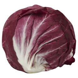 Treviso Lettuce