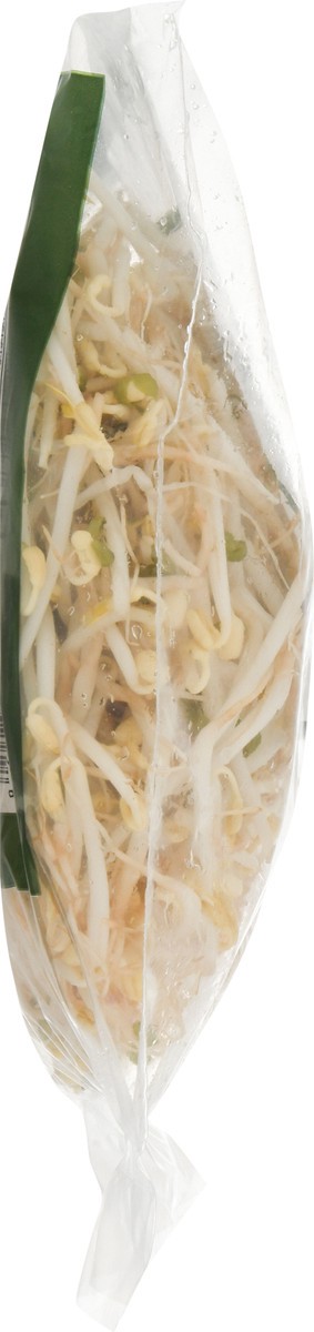 slide 3 of 9, Jonathan's Sprouts Organic Mung Bean Sprouts 7 oz, 7 oz