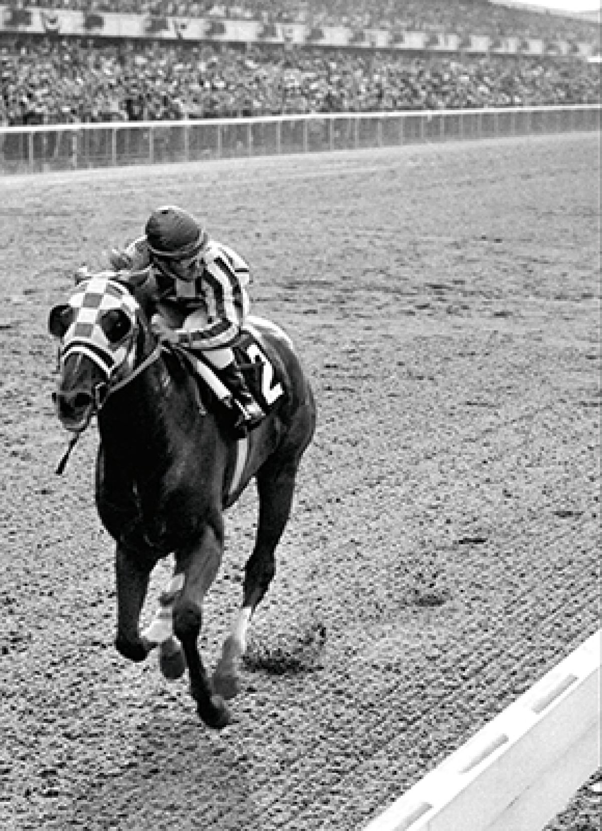 slide 1 of 1, Avanti Card Birthday Secretariat, 1 ct