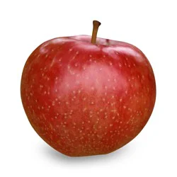 Apple SweeTango Apple