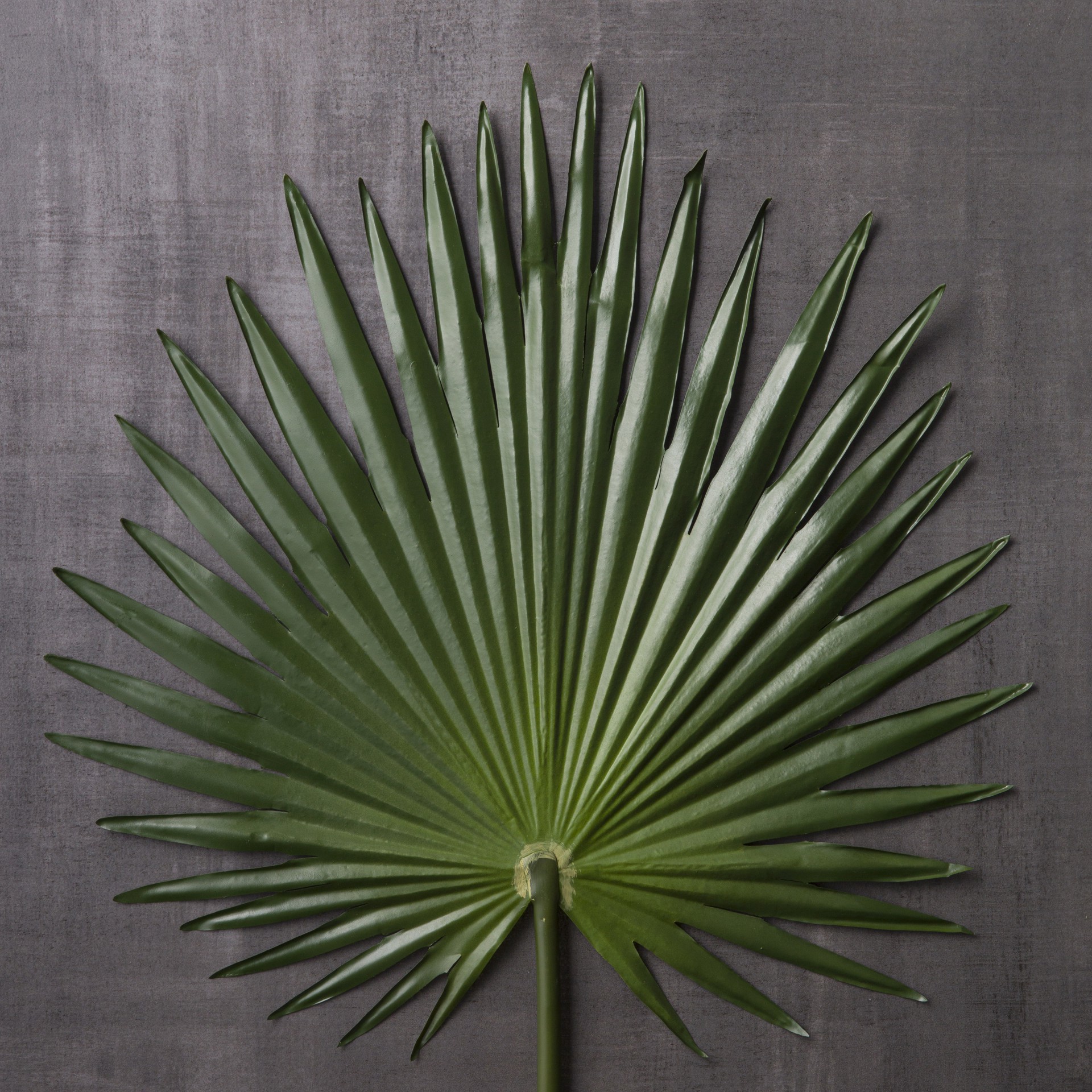 slide 3 of 3, Tropical Fan Palm Stem By Ashland, 27 in